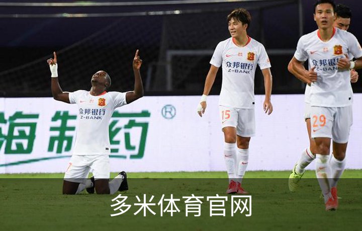 多米体育官网简介