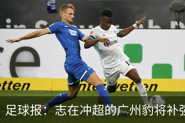 足球报：志在冲超的广州豹将补强锋线，正与目标外援前锋洽谈